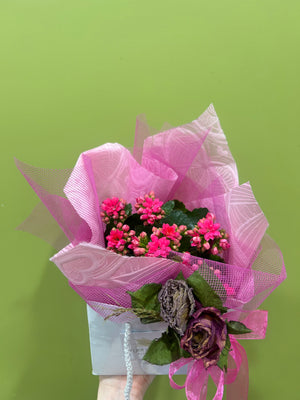 Kalanchoe Plant