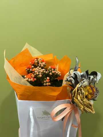 Kalanchoe Plant