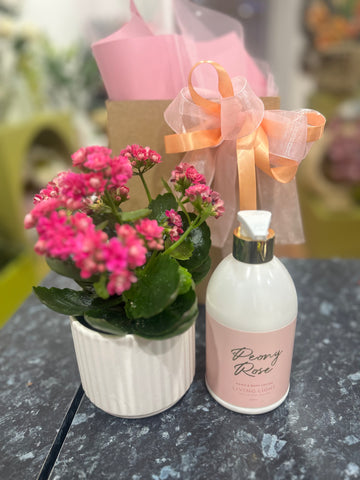 Plant + Body Lotion