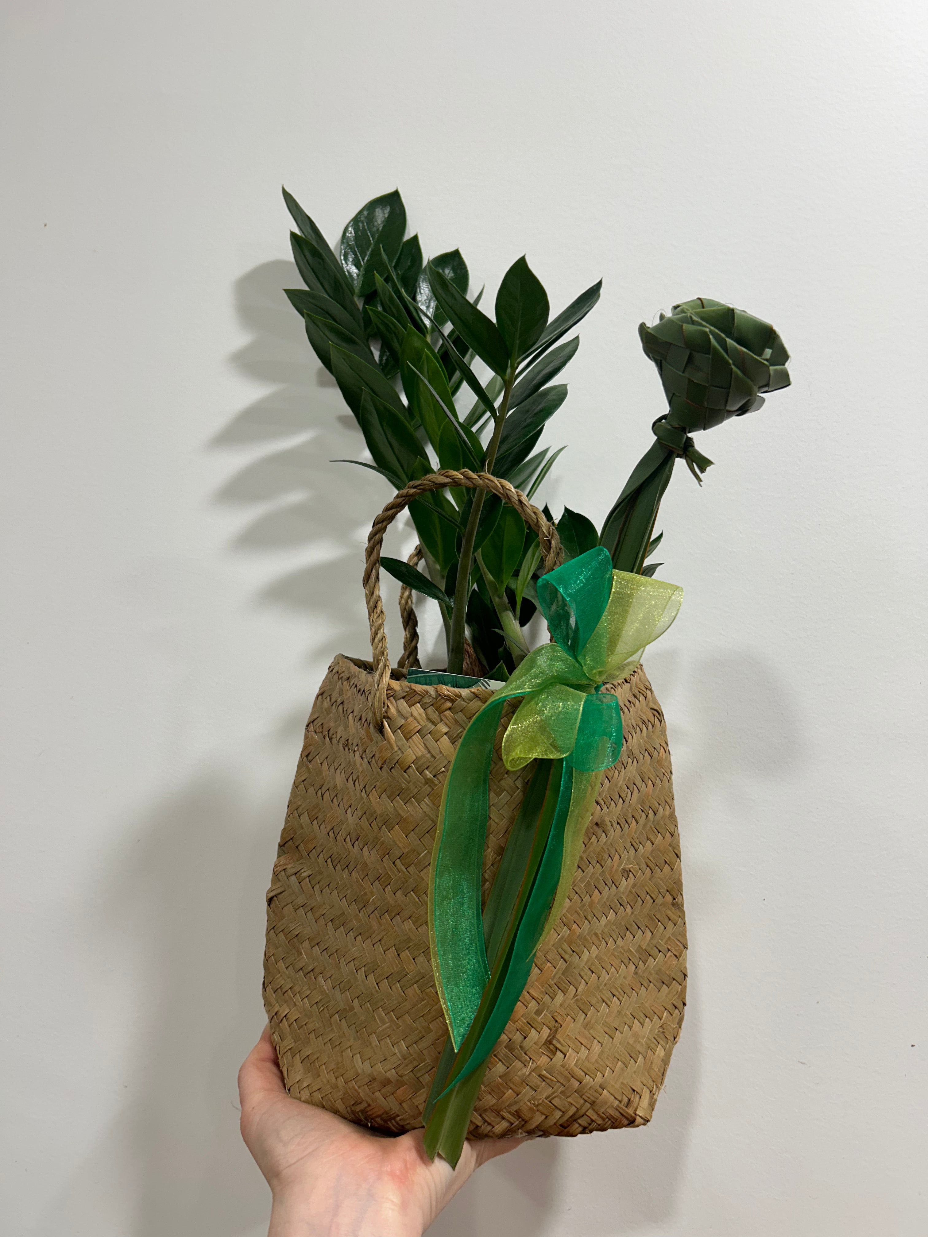 Kakariki kete / living plant