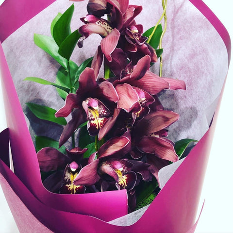 Elegant orchids